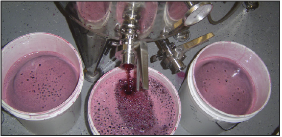 purple wine fermenting in buckets