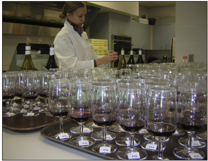 a woman stands in front of a counter full of wine glasses