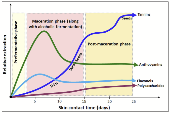 A schematic that shows how tannins, anthocyanins, flavonols and polysaccharies change over time.