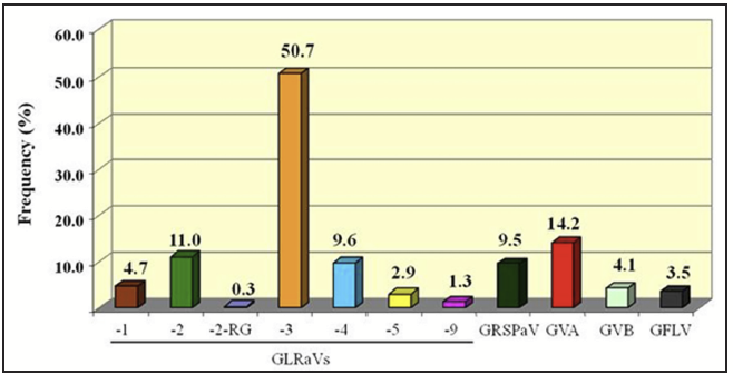 a bar graph showing that grapevine leafroll virus 3 is the predominate virus in Washington