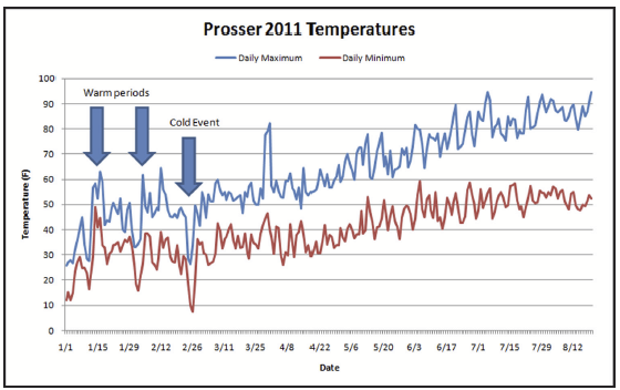 The daily maximum and minimum temperatures since January 2011 for Prosser, WA.