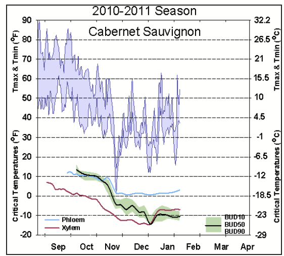 a graphic showing the dynamic nature of grapevine cold hardiness in response to changing temperatures