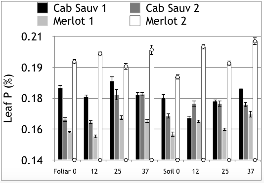 leaf P levels after two years of soil or foliar treatments - there was very little increase in leaf P in response to different soil or foliar P treatments.