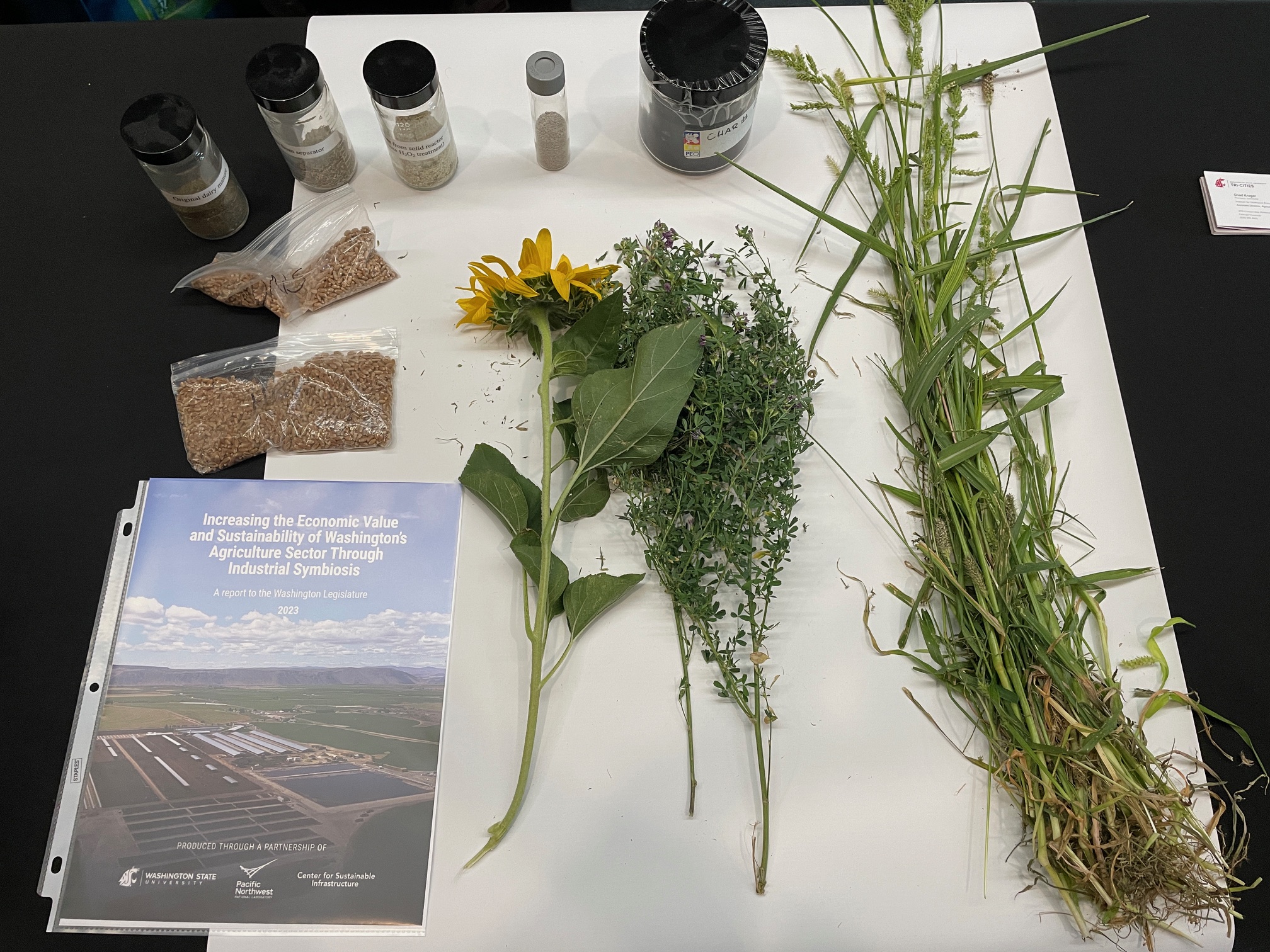 AgSymbiosis report and plants. 