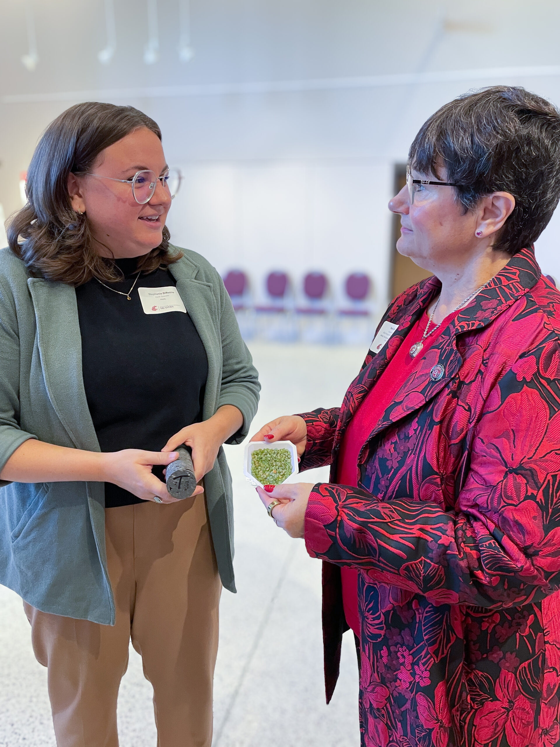 Stephanie Diraddo and Noel Schulz discuss the properties of basalt and olivine for carbon capture. 