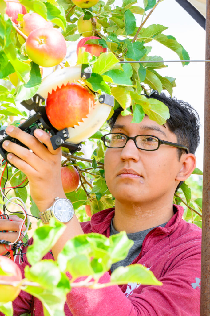 A person testing a robotic apple picking device that uses white silicone "fingers" to grip an apple.