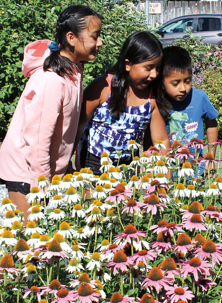 Children looking at flowers.