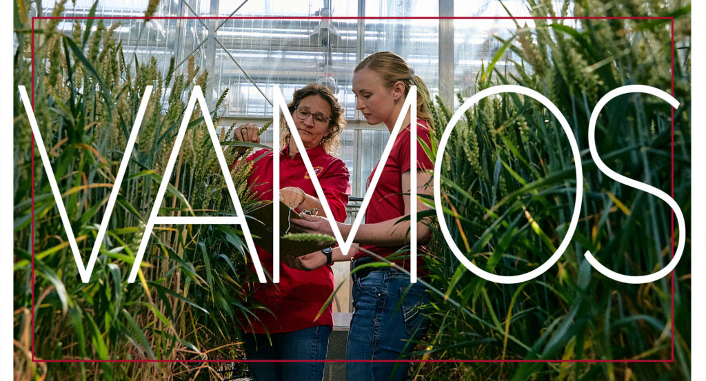 Vamos text over researchers looking at wheat plants in a greenhouse