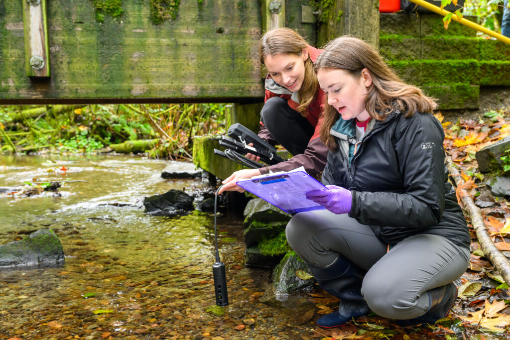 Two people taking scientific measurements in a stream.
