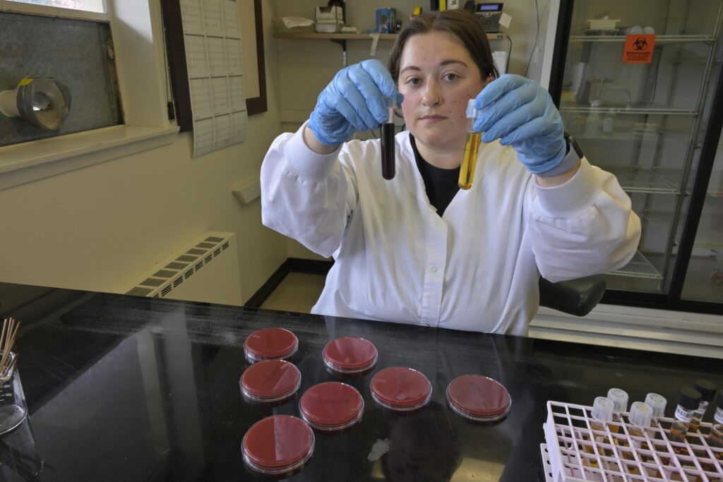 A lab worker in white coat and blue gloves holding up two glass vials, one filled with dark liquid the other with clear yellow liquid, in front of them on a table are seven red petri dishes.