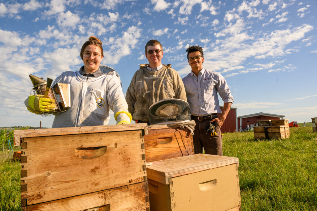 Three smiling researchers, some wearing protective bee suits, standing outside with several wood bee hives.