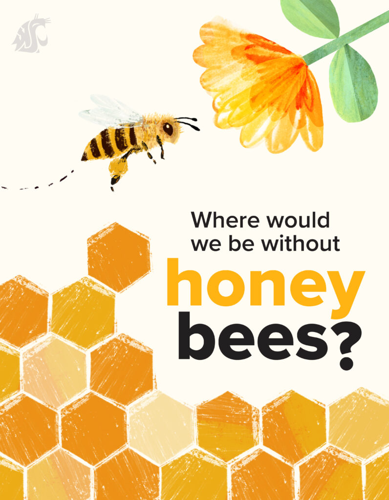 Honeybee flying to a flower over a honeycomb with the text "Where would we be without honey bees?"