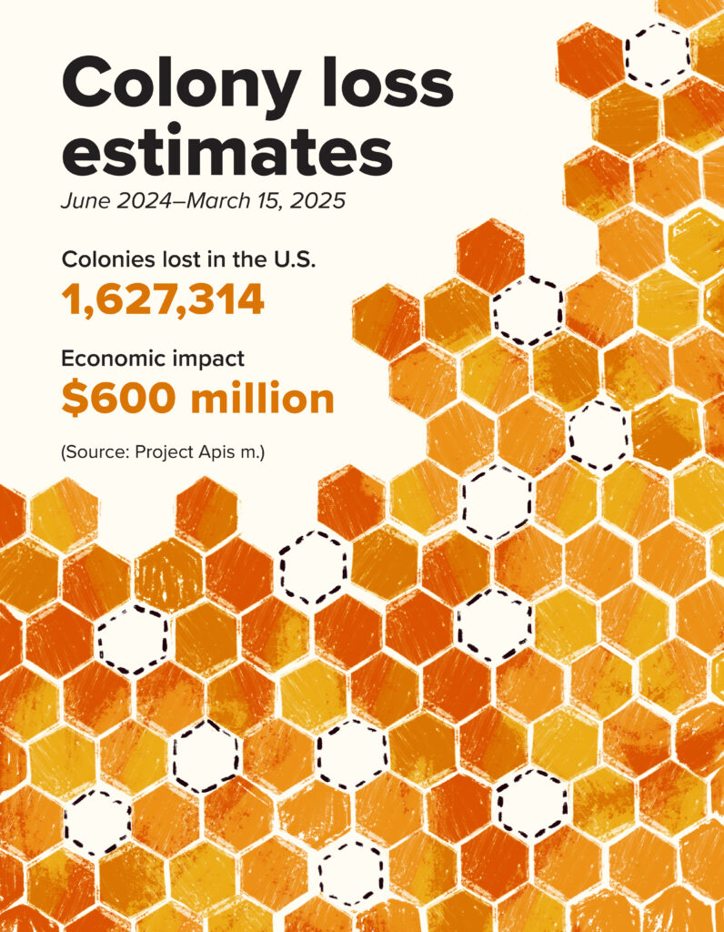 Honeycomb with the text: "Colony loss estimates, June 2024-March 15, 2025, colonies lost in the US 1,627,314; economic impact $600 million. (Source: Project Apis m.)