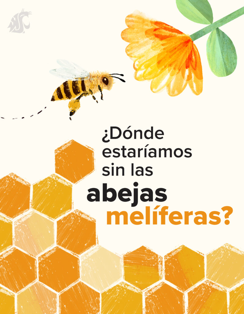 Abeja volando hacia una flor sobre un panal con el texto: “¿Dónde estaríamos sin las abejas melíferas?”
