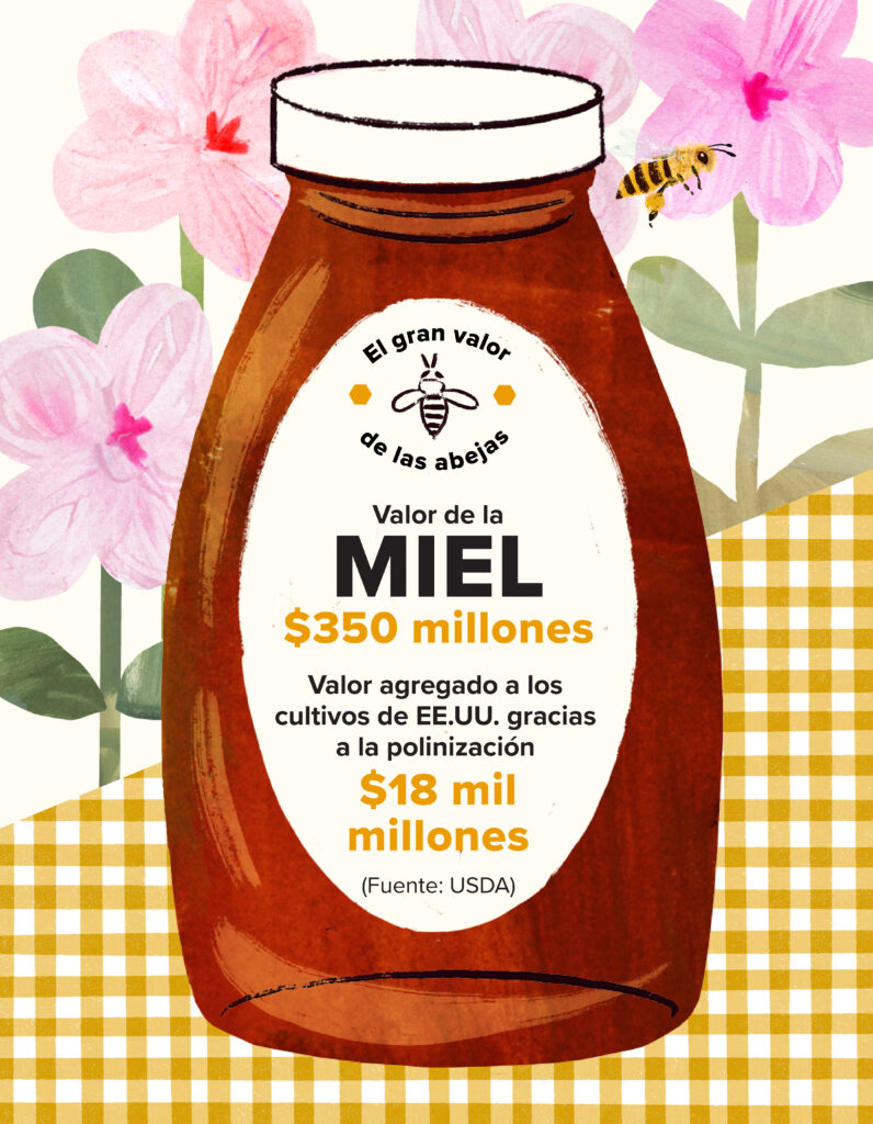 Botella de miel con la etiqueta El gran valor de las abejas (Big Bucks in Bees) Valor de la miel $350 millones Valor agregado a los cultivos de EE.UU. gracias a la polinización $18 mil millones. (Fuente: USDA)