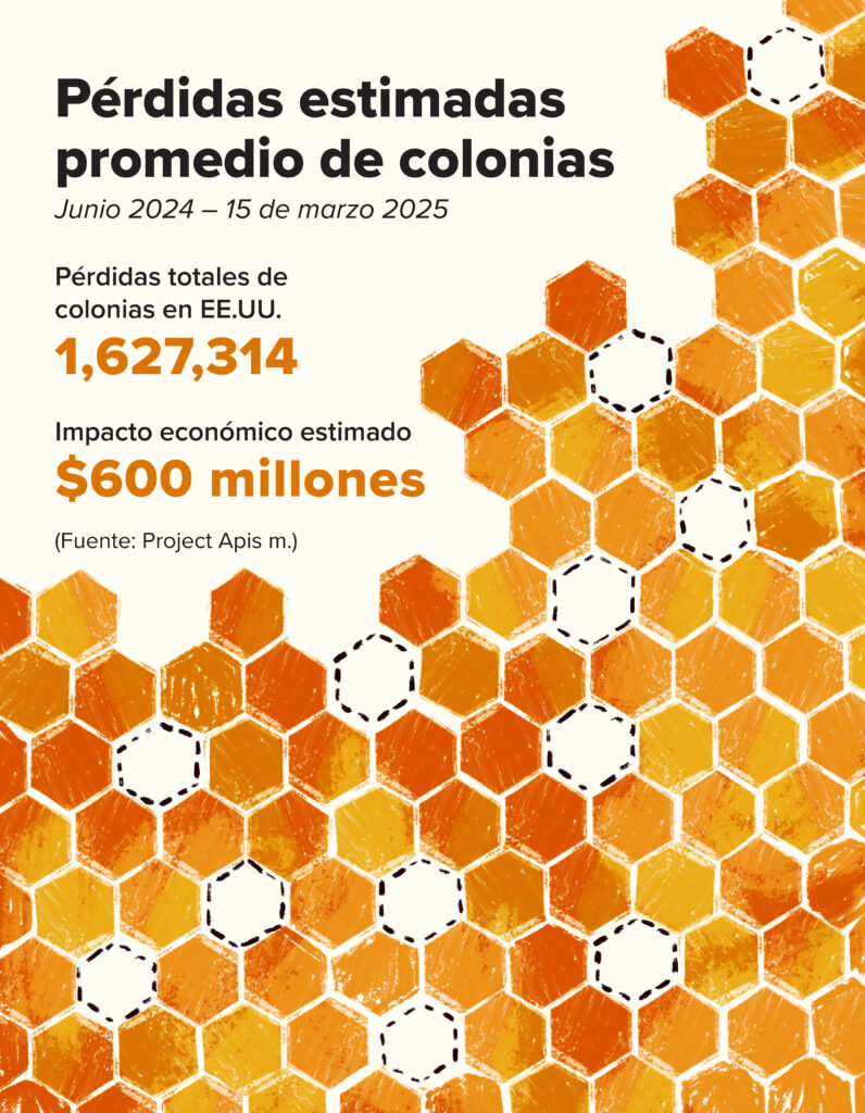 Panal con el texto: Pérdidas estimadas promedio de colonias. Junio 2024 – 15 de marzo 2025. Pérdidas totales de colonias en EE.UU. 1,627,314. Impacto económico estimado $600 millones (Fuente: Project Apis m.)