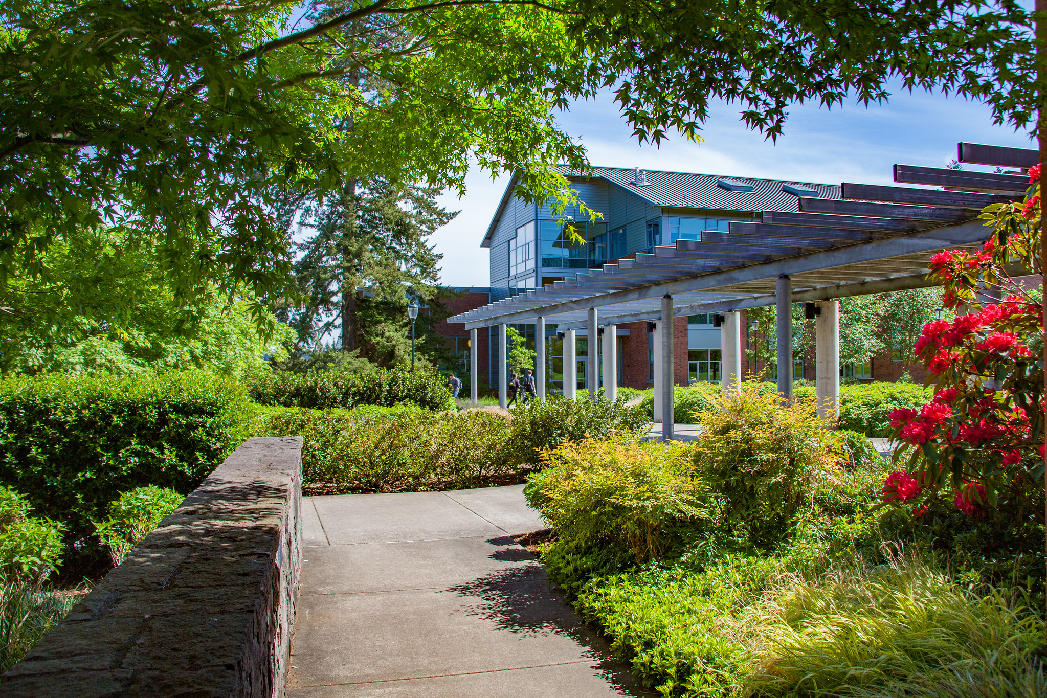 A paved pathway leading under a covered structure on the green WSU Vancouver campus