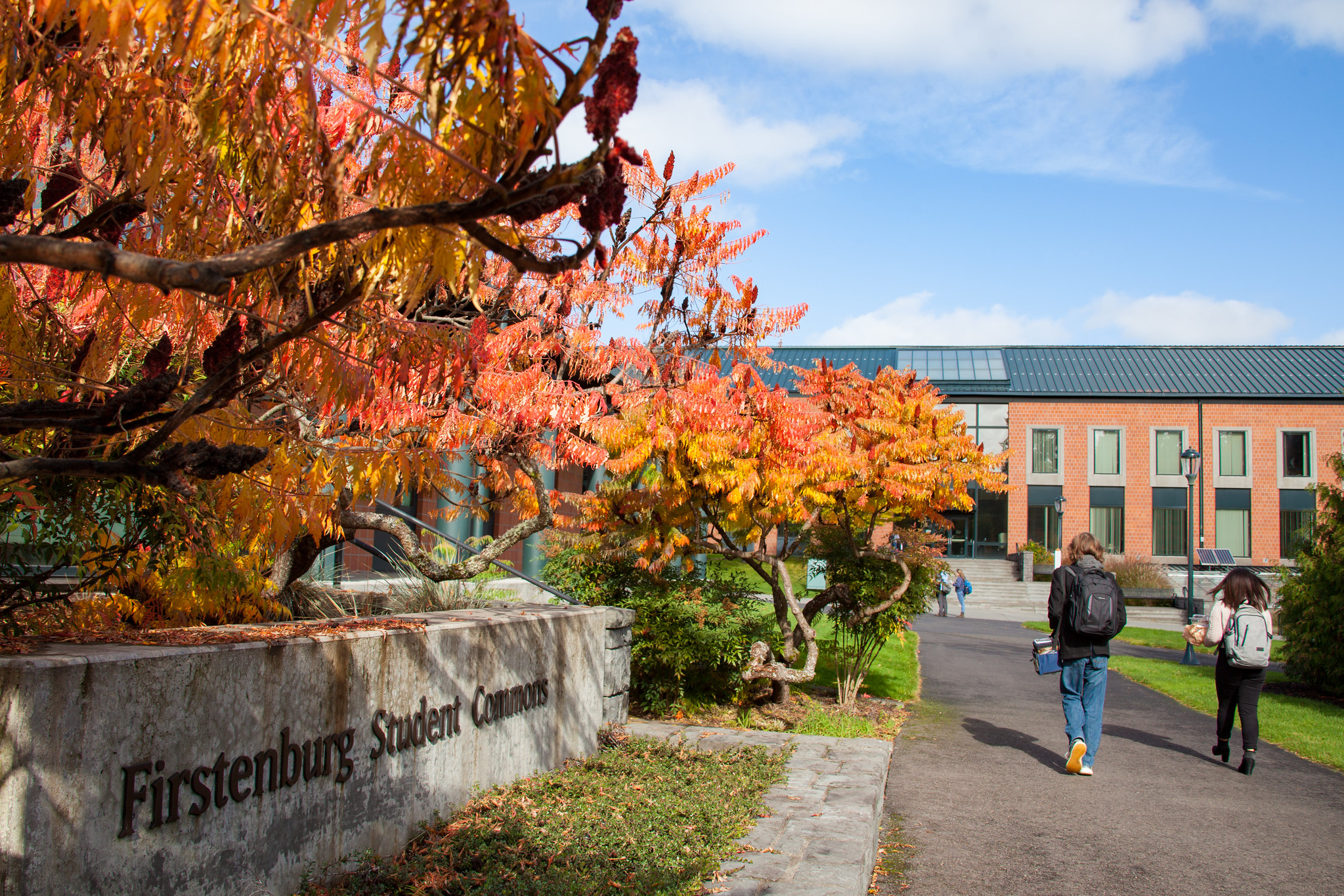 Vibrant autumn foliage with orange and red leaves near a brick building at WSU Vancouver