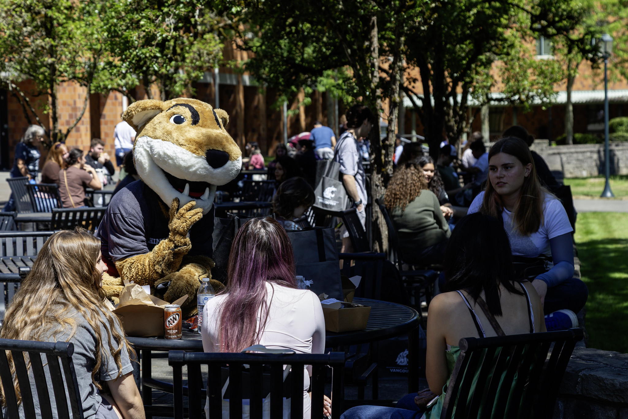 WSU Vancouver - Alumni Relations Students gathering outdoors on a patio to interact with Butch, the WSU mascot