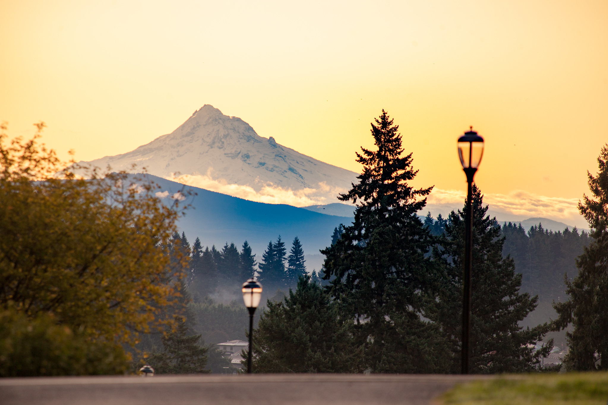 A dusk view of a mountain in the distance with trees and lamp posts silhouetted in the foreground