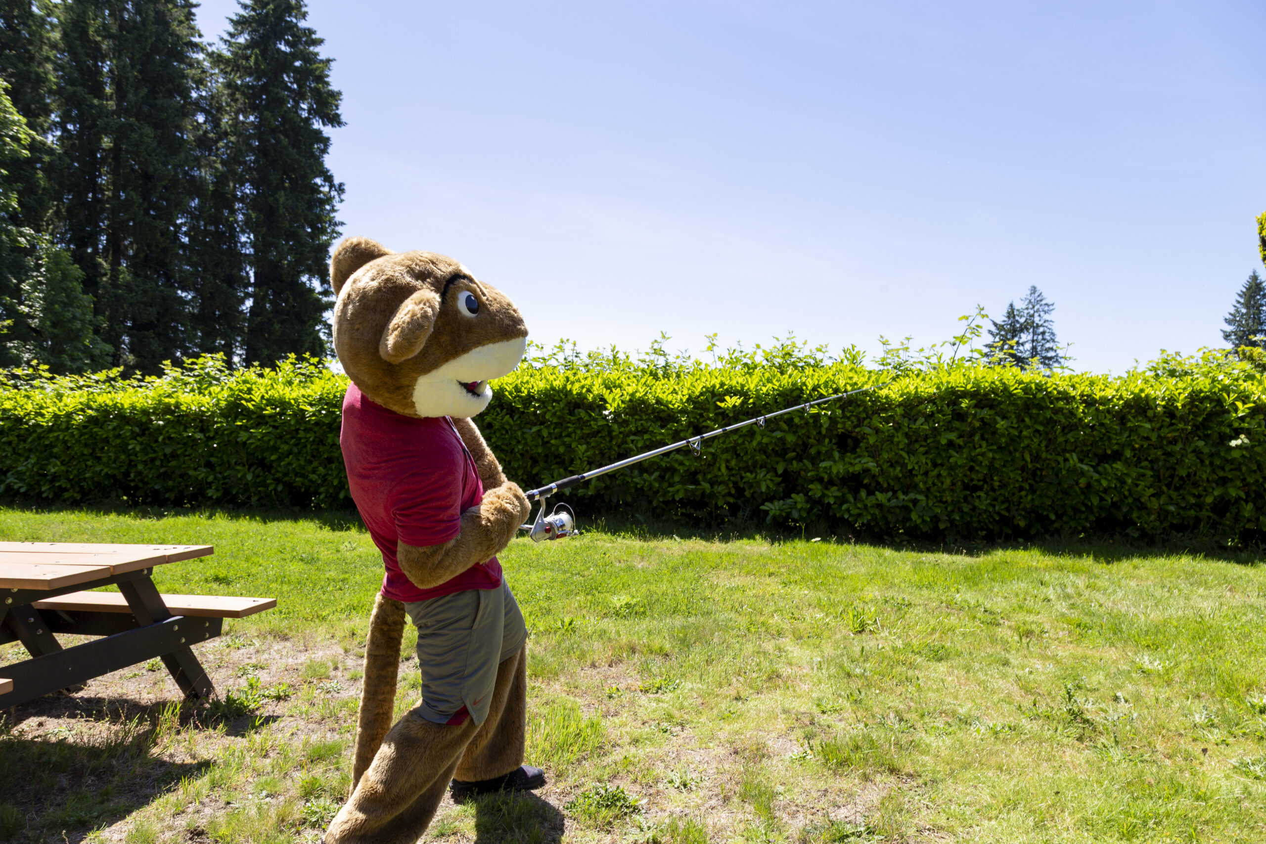 An outdoor statue figure of Butch, the WSU mascot, holding a fishing rod on a green lawn display