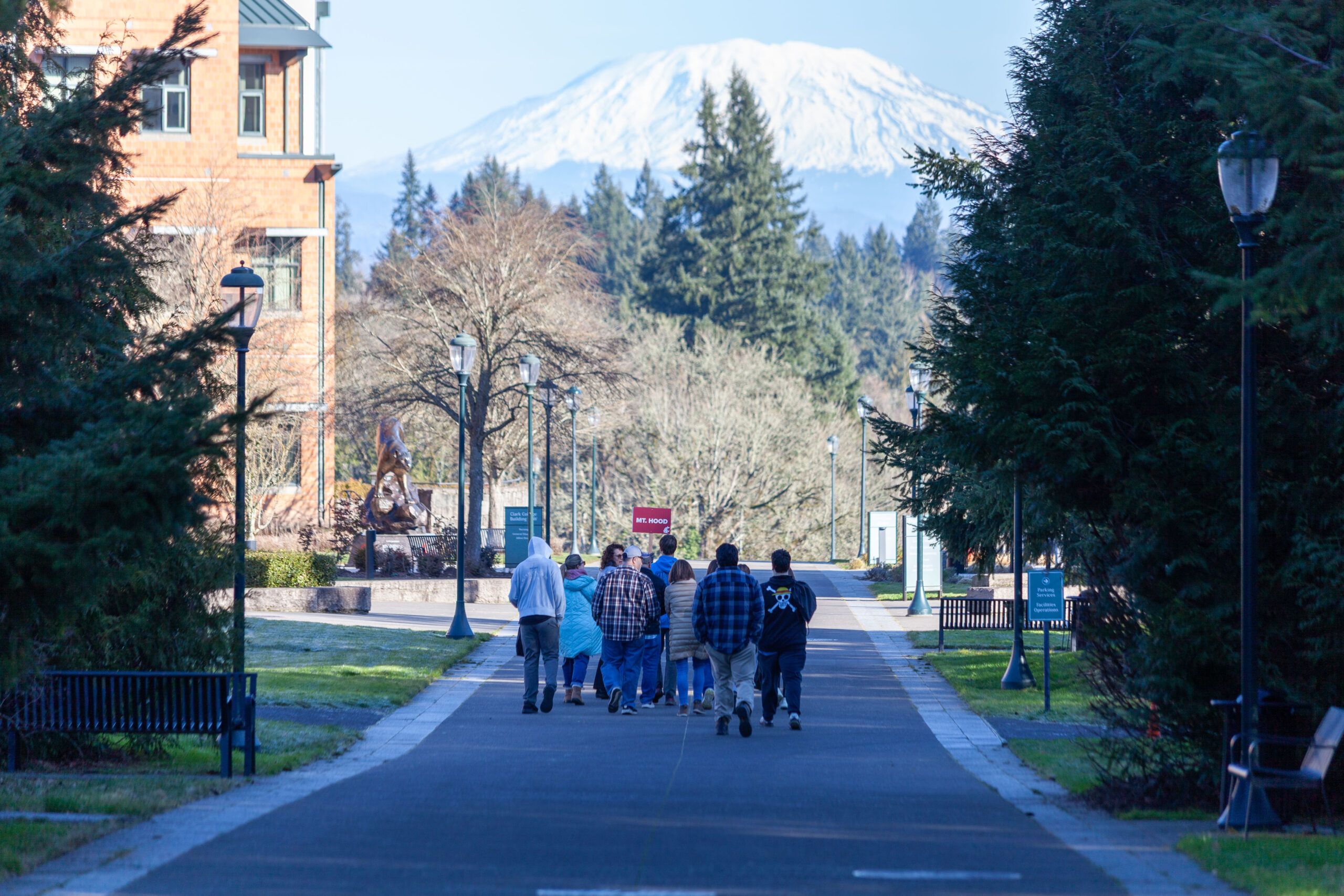 Scenic view of a snow-capped Mount St. Helens rising behind a tree line from a campus overlook