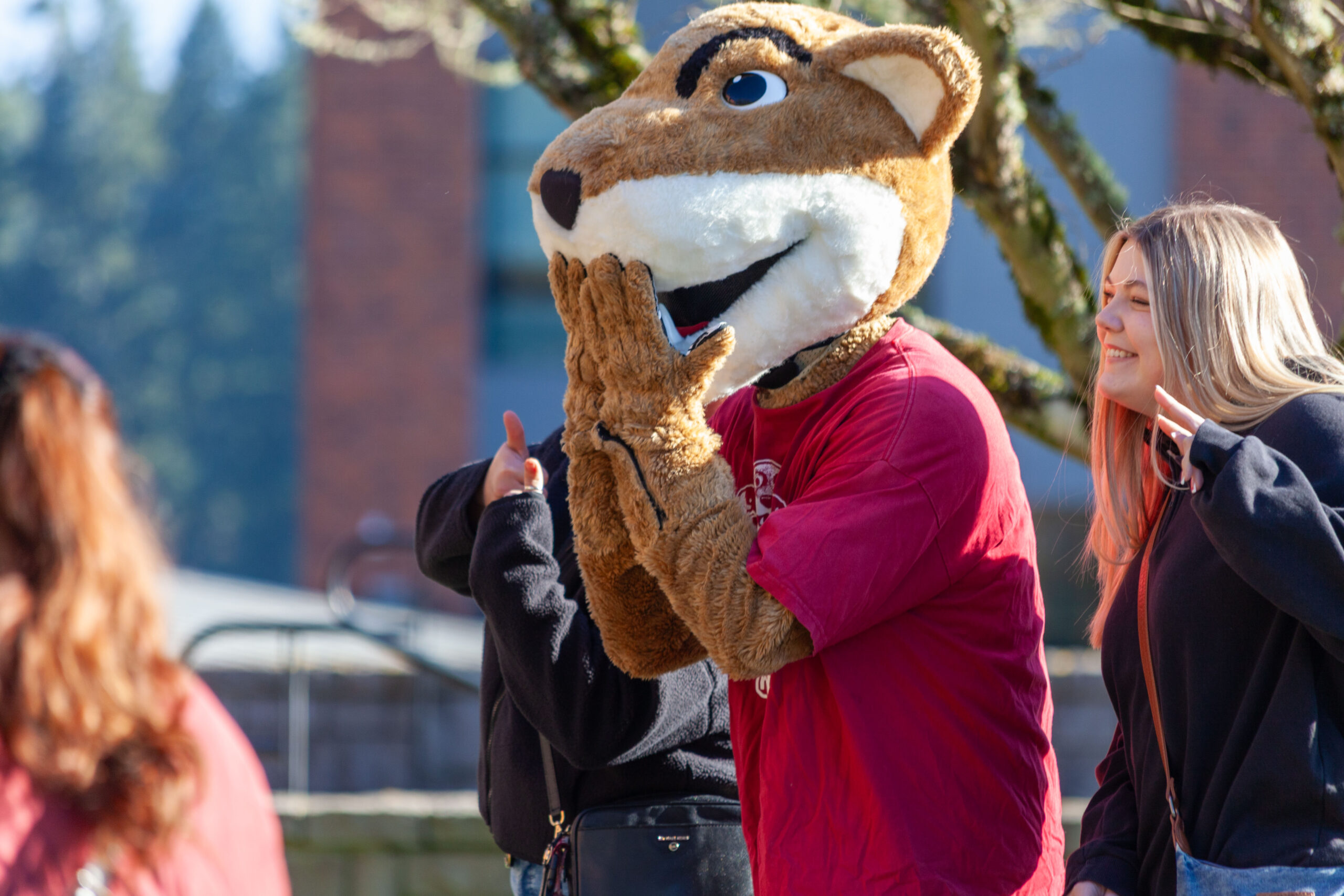 A close-up photo of Butch, the WSU mascot, looking out over an event crowd from a campus balcony