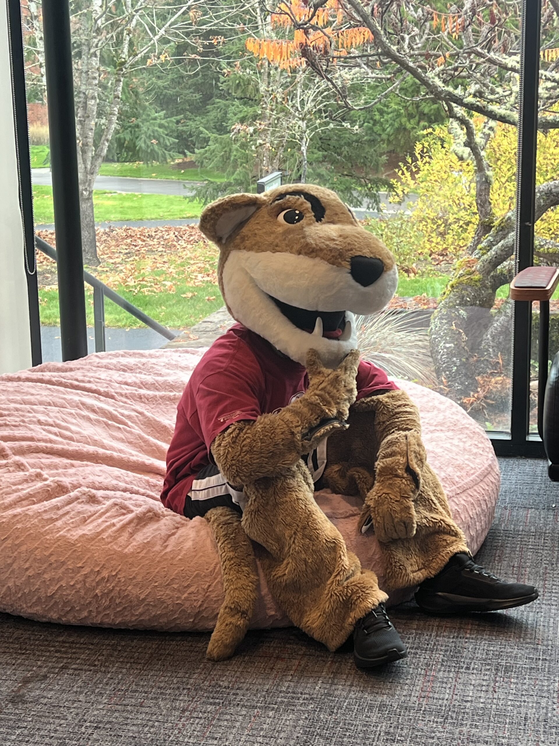 Marketing and Communications A mascot character relaxing comfortably on a large beanbag chair inside a lounge area
