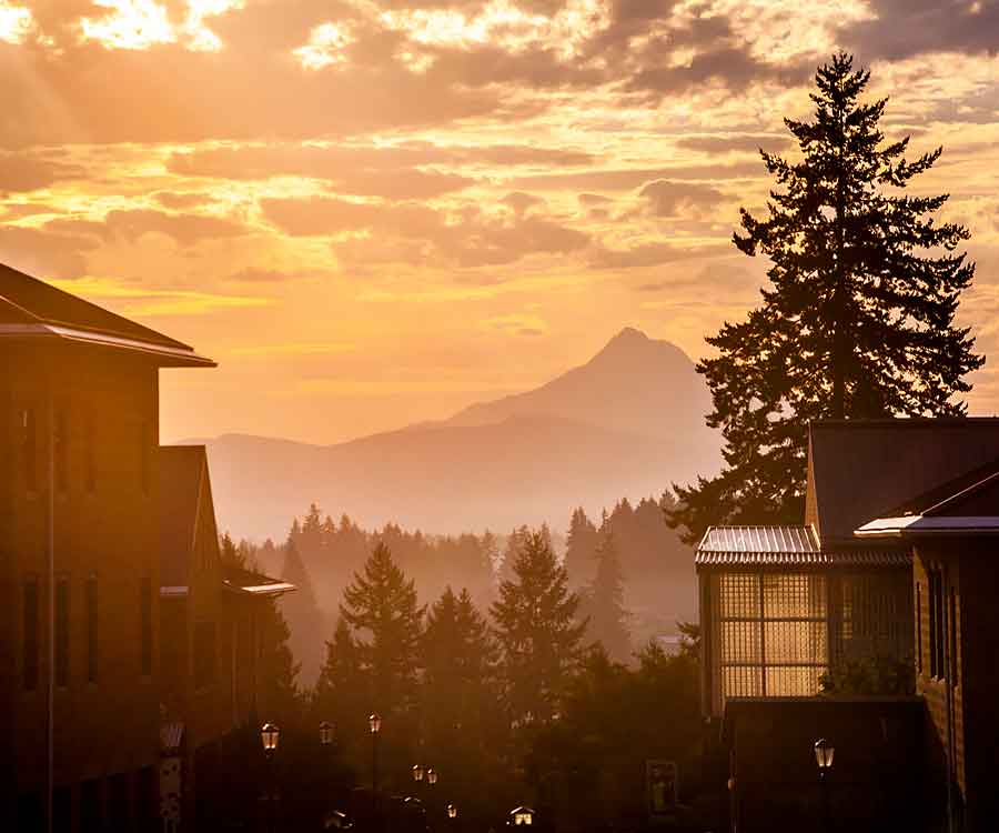 Scenic view of a snow-capped mountain peak silhouetted behind trees at sunset from campus