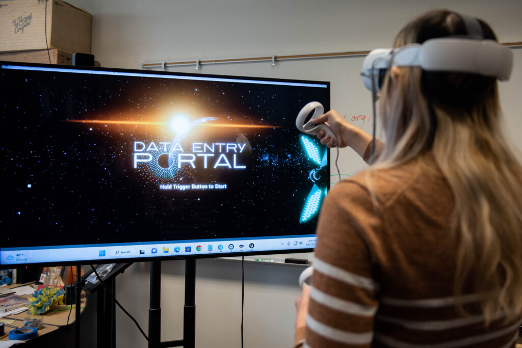 data-entry-portal-playtest