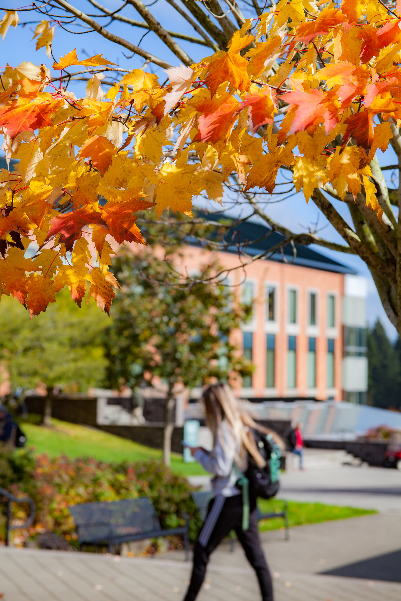 Capital Planning and Development A group of diverse students walking and talking together outdoors on campus paths