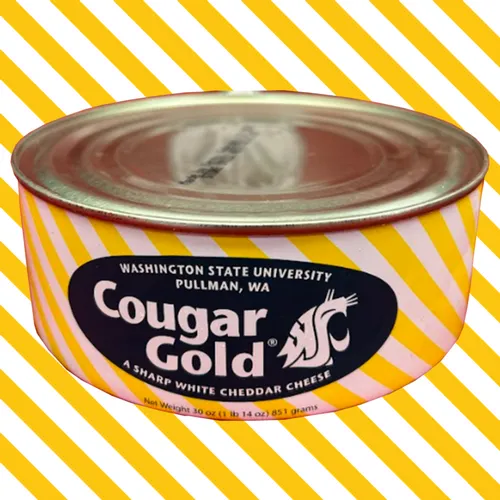 A close-up view of a single yellow and white round tin of Cougar Gold cheese display product