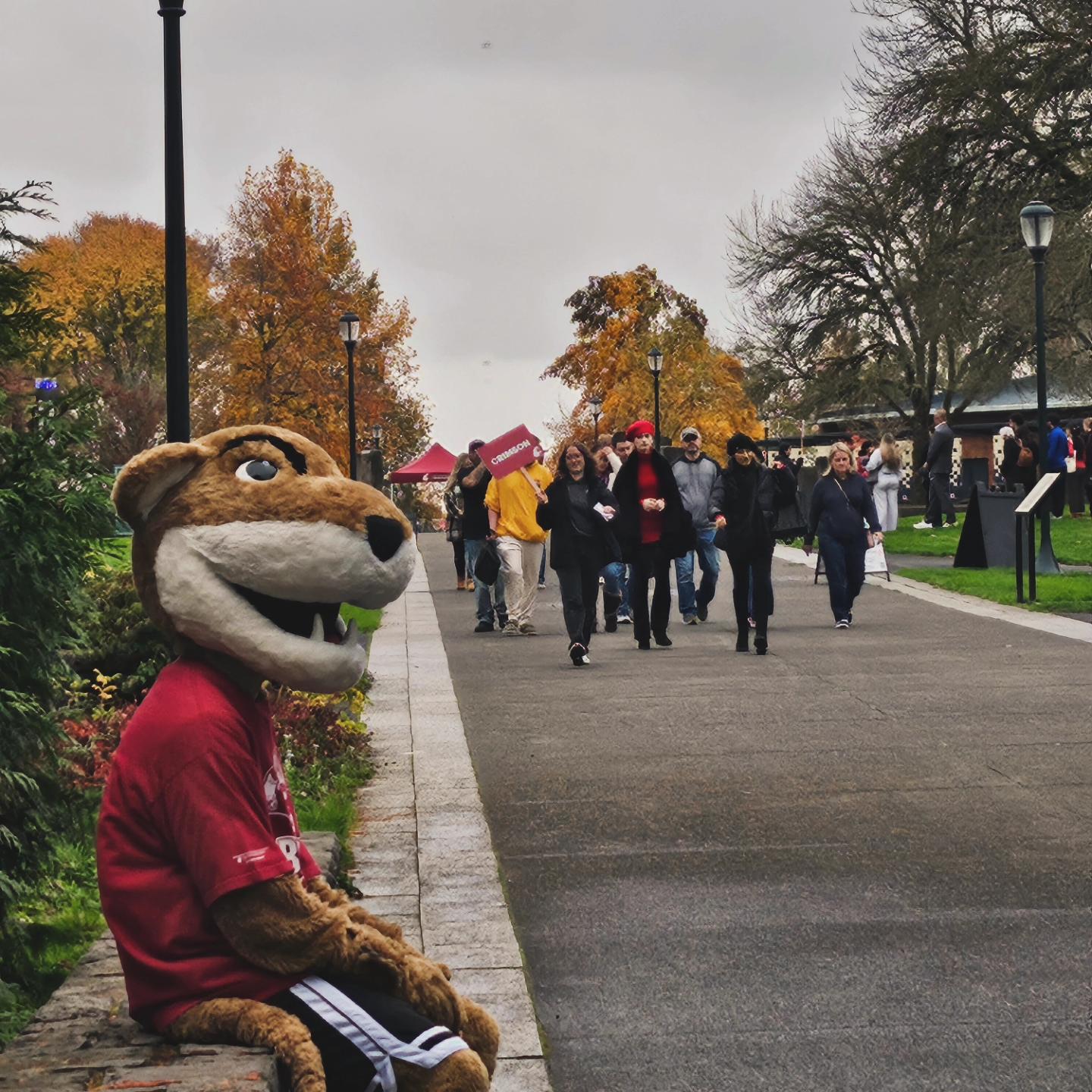 Academic Affairs A group of diverse students walking and talking together outdoors on campus paths