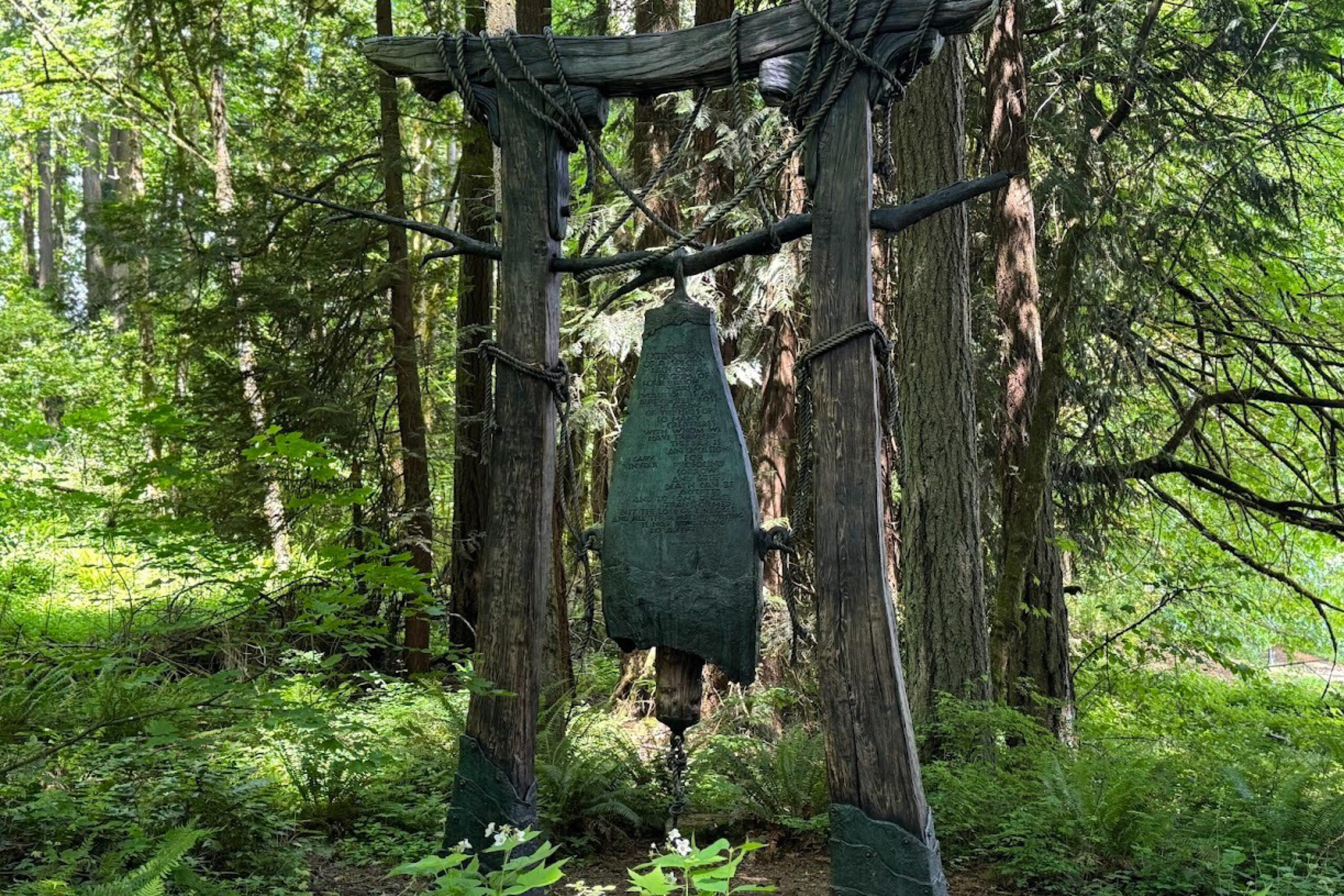 WSU-Vancouver-The-Wailing-Bell-Art-on-Campus A scenic outdoor path cutting through a dense green wooded forest area on campus