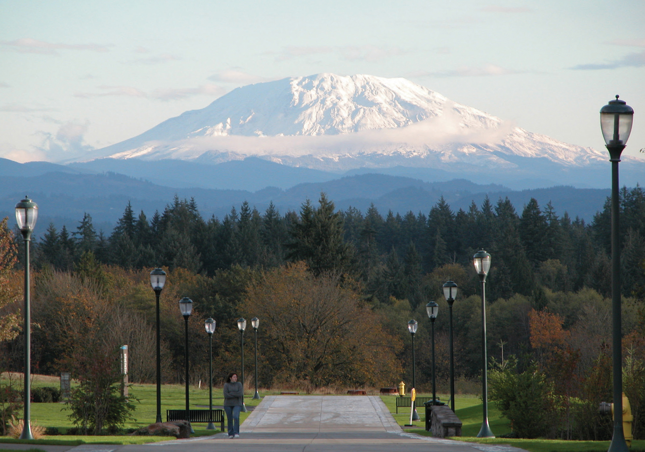 Scenic shot of WSU Vancouver Campus Scenic view of a snow-capped mountain peak rising behind trees from a WSU Vancouver overlook