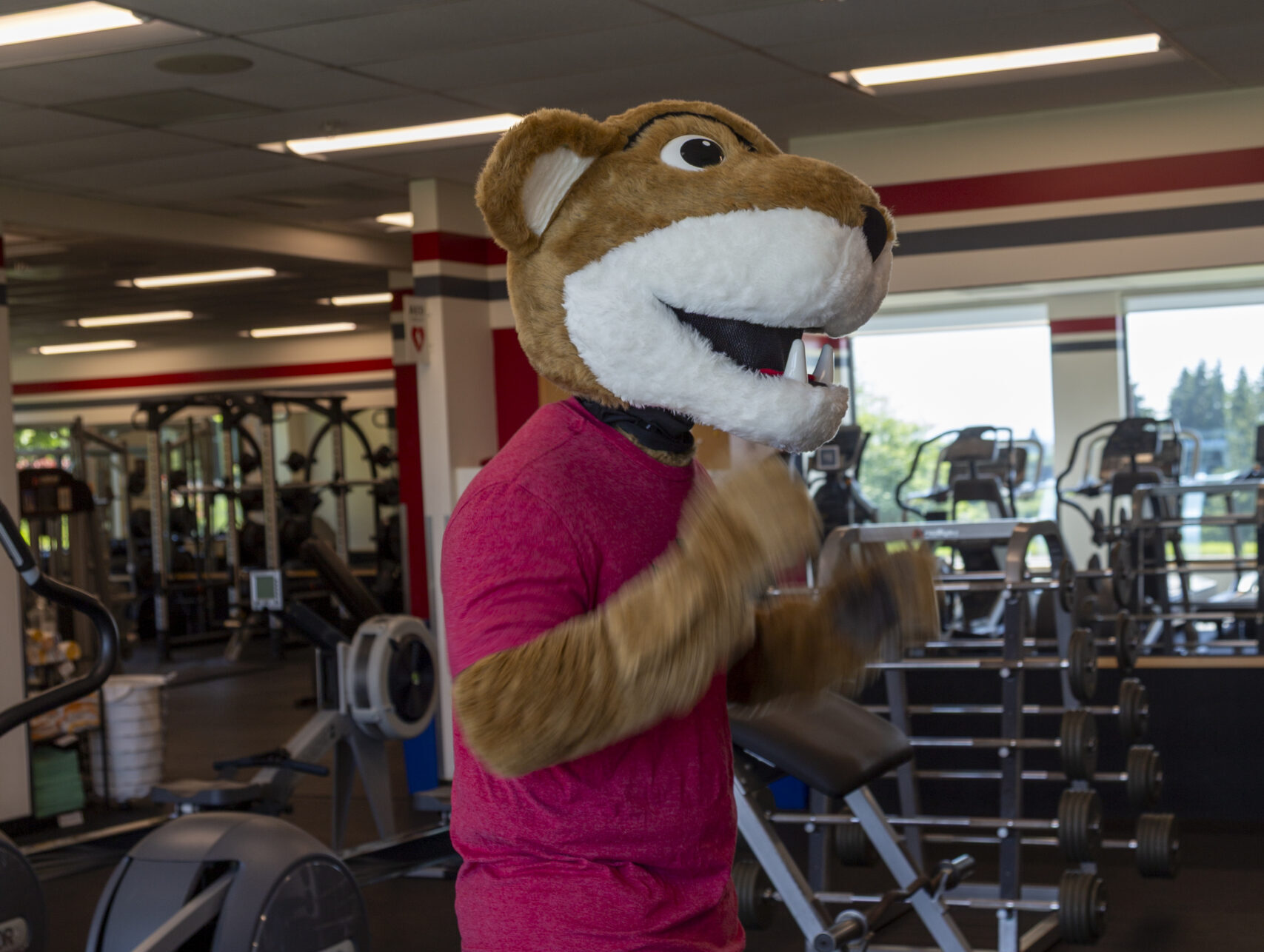 Jazz Hands: Ending the workout with some flair! Because what’s a WSU workout without a little personality and "jazz hands"?