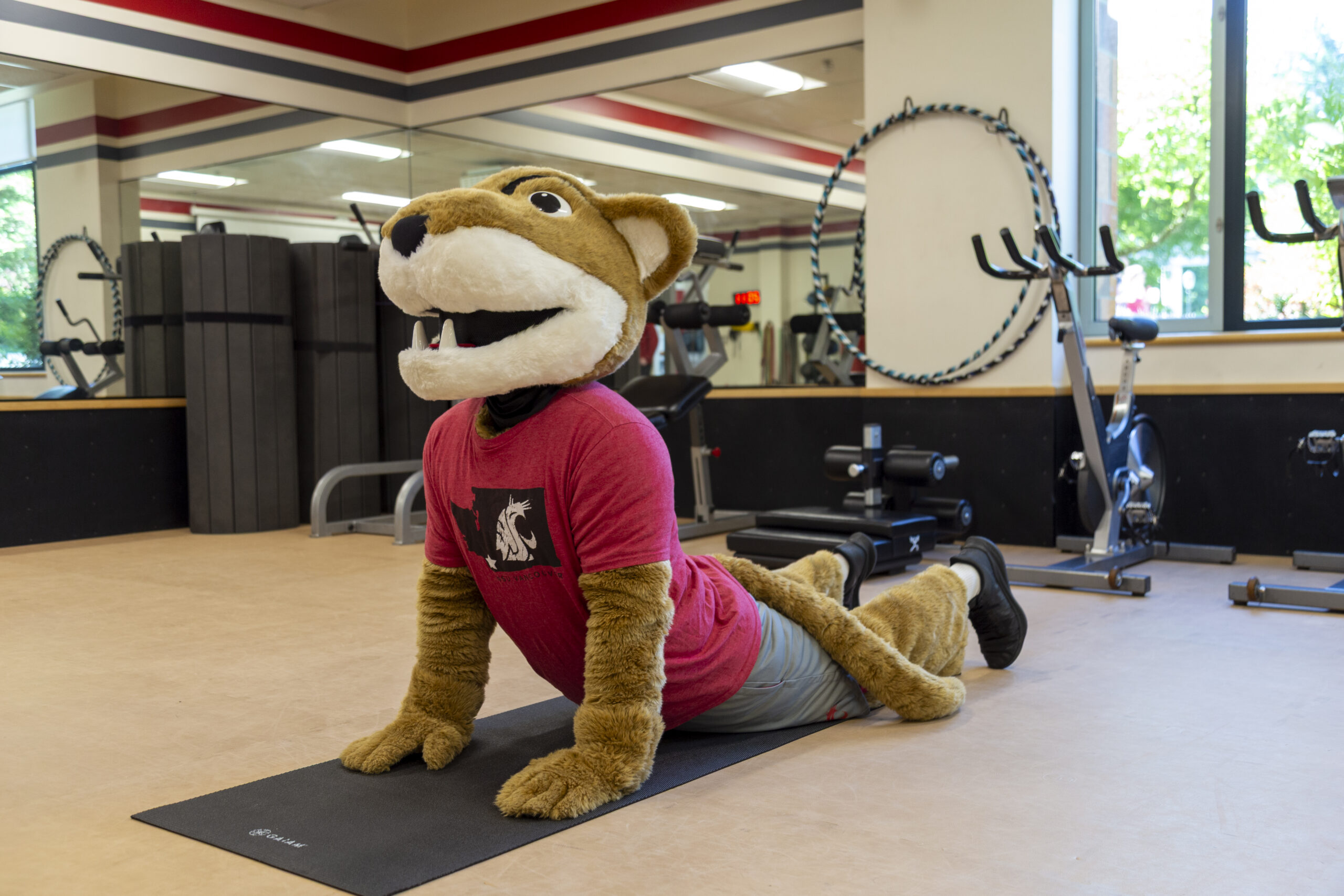 Cobra Pose: Flexibility is vital. Butch shows off some impressive feline form on the mat.