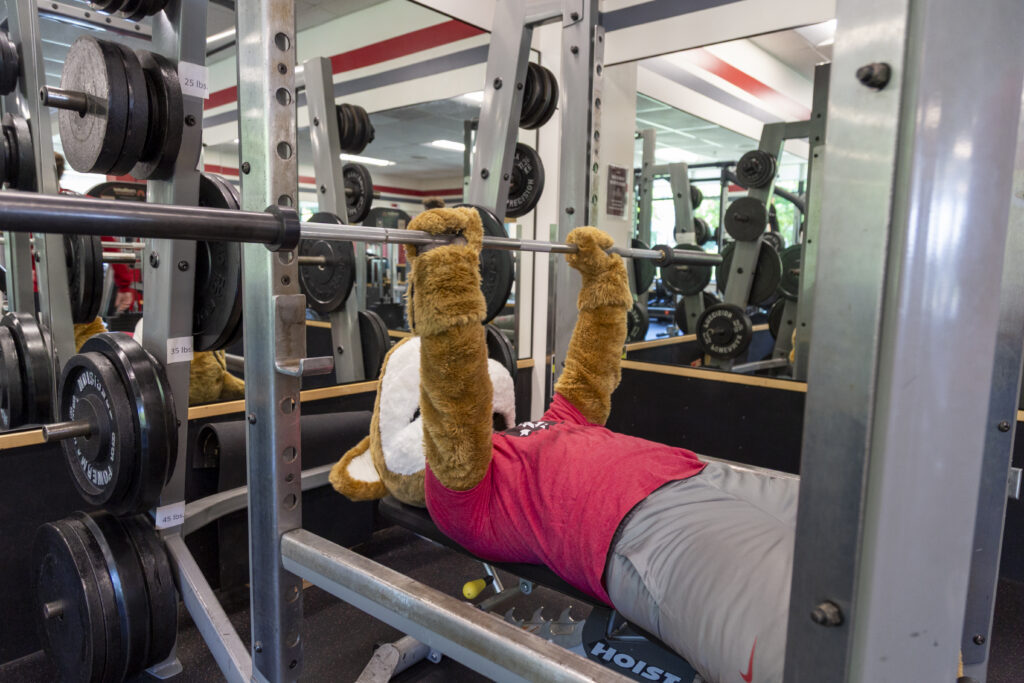 Bench Press: Repping for the Crimson and Gray—Butch knows a strong chest is key to a winning season.