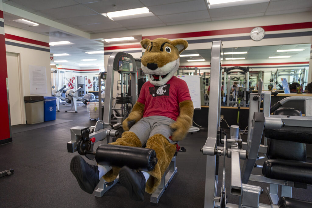 Leg Extensions: Never skip leg day. Butch is building explosive power for his signature stadium jumps.