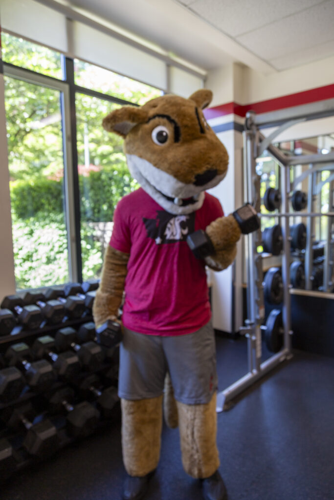 Dumbbell Curls: Butch starts strong, building bicep power for those iconic "Go Cougs" hand signals.