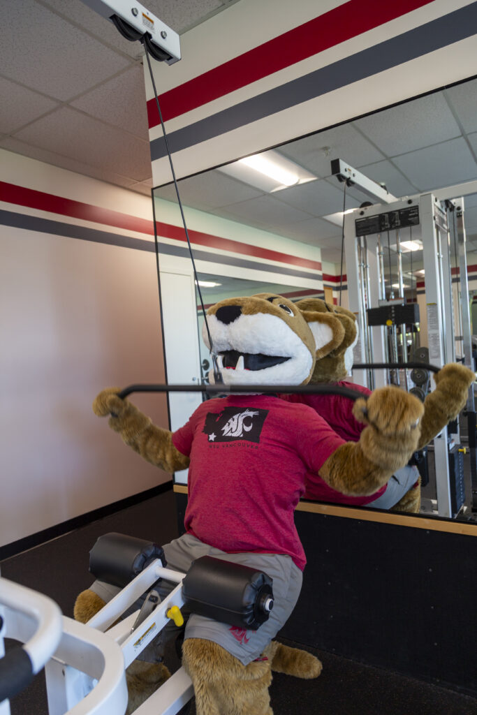 Lat Pulldowns: Working on the wings! Butch is prepping to fly through the semester with ease.