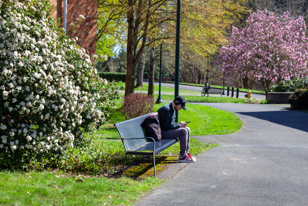 WSU Vancouver-College Academic Distribution | Two staff members chatting next to an outdoor lawn area on a sunny day at WSU Vancouver