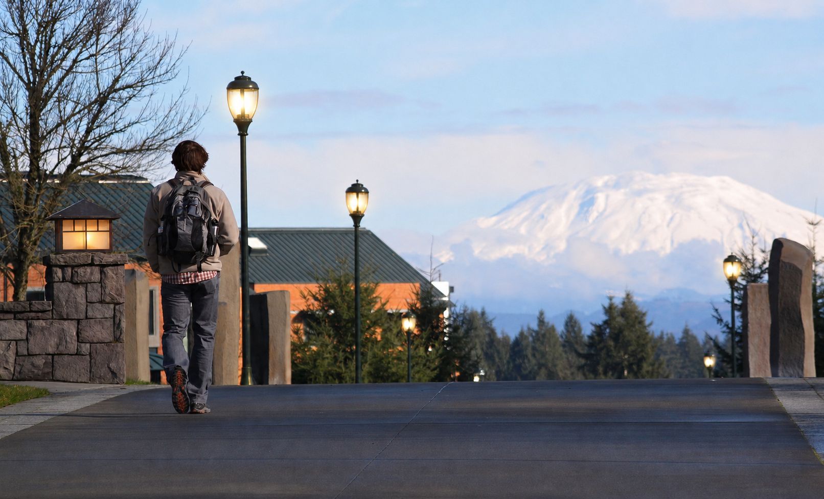 Scenic view of a snow-capped mountain behind a tree line on the WSU Vancouver campus grounds at dusk