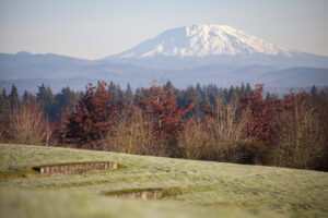 Scenic landscape view of a snow-capped mountain peak rising behind a forest line