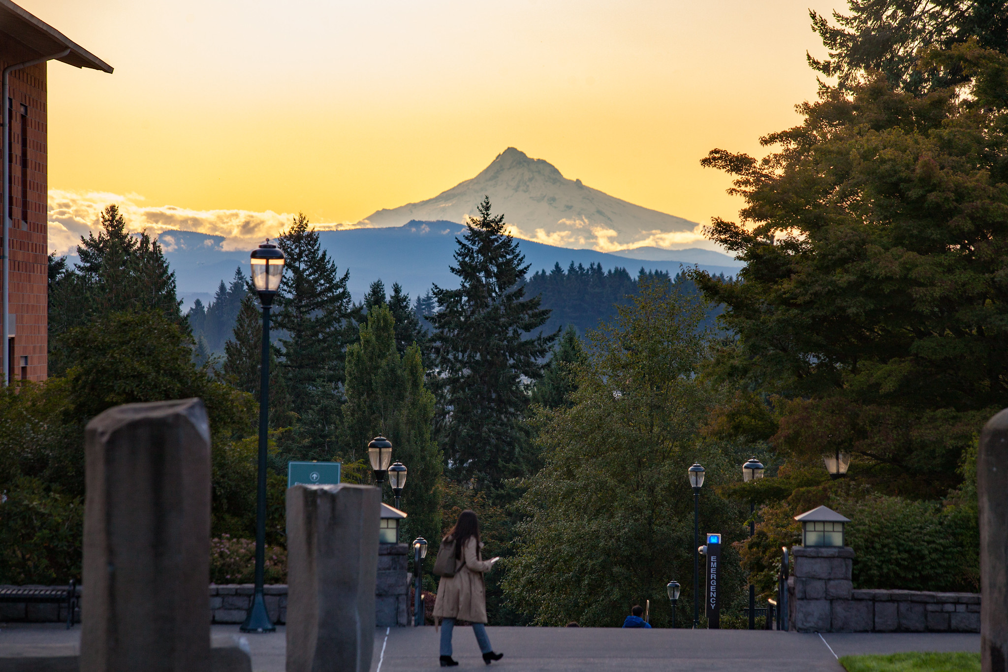 Scenic view of a snow-capped Mount Hood rising behind trees on the WSU Vancouver campus