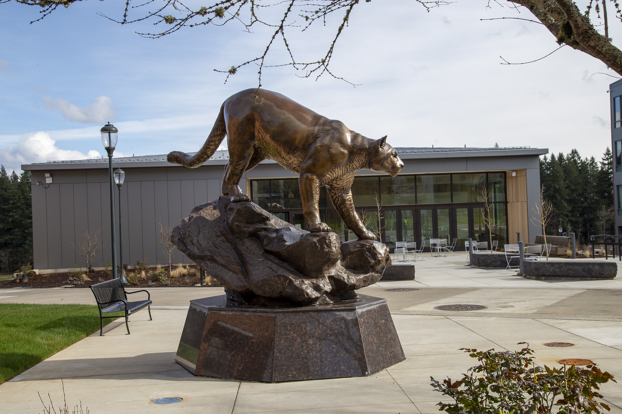 A classic bronze Cougar statue resting on a stone base outside on the WSU Vancouver campus