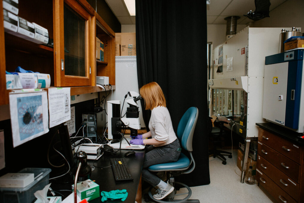 A researcher inspecting cell or plant structures through a microscope in a WSU Vancouver lab