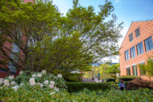 View of a campus building surrounded by lush green trees and landscaping