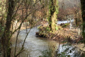A scenic flowing river or stream surrounded by trees in a park