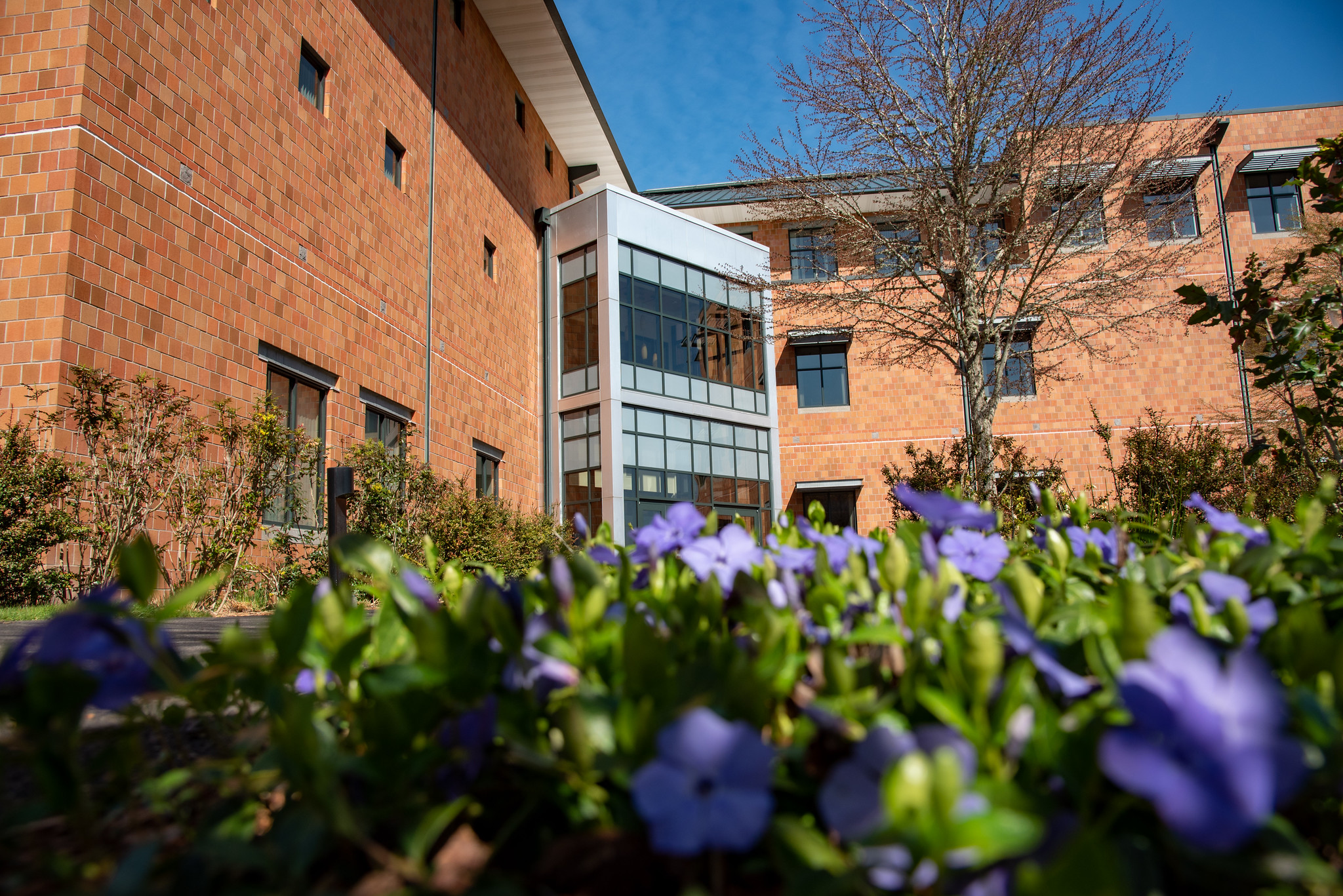 Exterior architecture view of a modern brick academic building on the WSU Vancouver campus